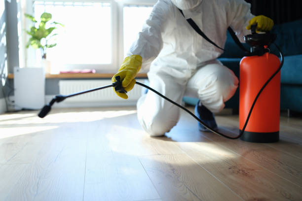 Reliable Infectious Disease Decontamination contractor in Dunlap, CA by Crime Scene Cleaner Online
